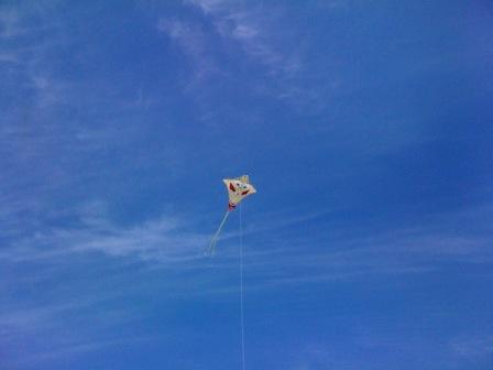 Kite