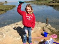 Isle of Wight crabbing!