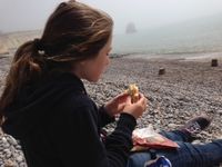 Isle of Wight Freshwater Bay picnic