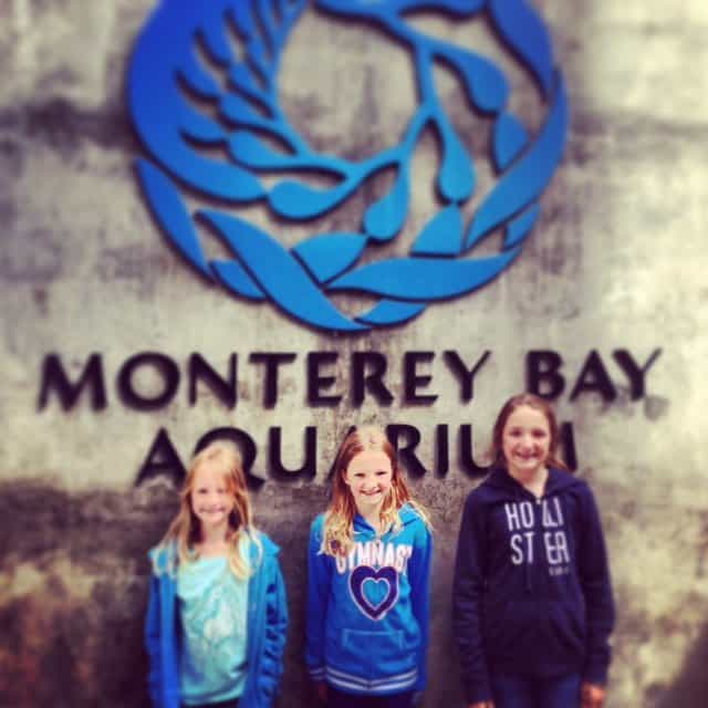 monterey-bay-aquarium-tips-with-kids-and-pre-teens