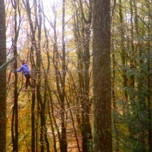 Go Ape Aberfoyle Review And Tips For Making The Most Of Go Ape Aberfoyle