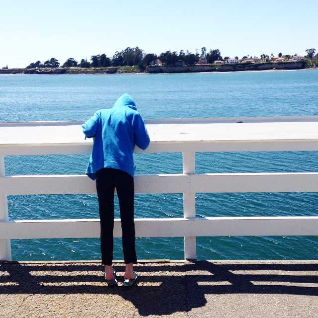 The Santa Cruz Wharf is the longest wooden wharf on the US Coast. It's also a great place to look for seals!