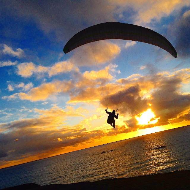 We visited Goat Rock Beach at sunset, and caught this paraglider taking off. 