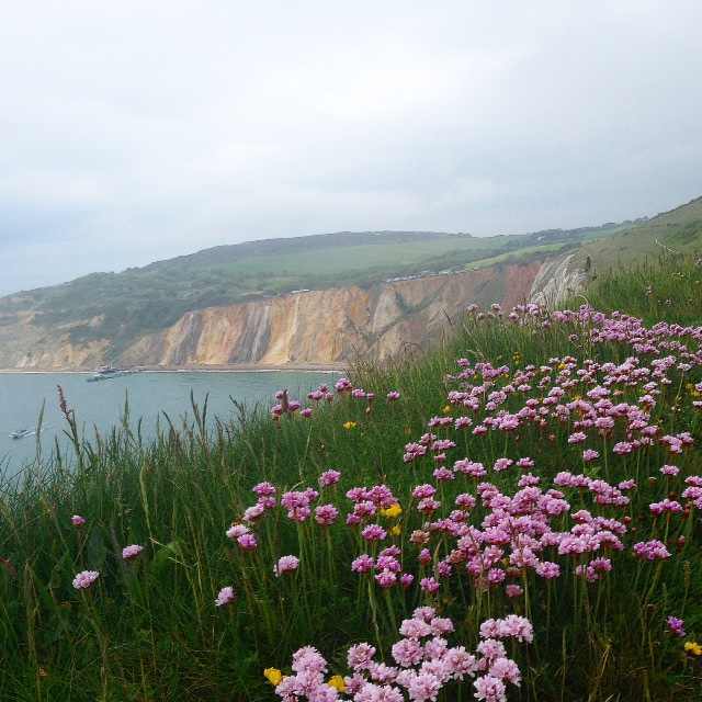 Alum Bay in the Isle of Wight. There are 21 different shades of sand in those cliffs! 