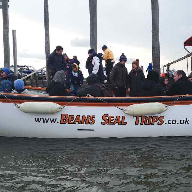 We took Beans Boat Trips out to see the seal and bird colony at Blakeney Point on the North Norfolk Coast. It's a 'must do" if you have nature lovers in the family!