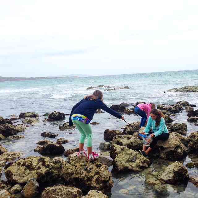 The girls can spend hours with a net and bucket searching for sea critters. Catch Freshwater Bay when they tide is out, and it is a perfect spot for rock pooling.