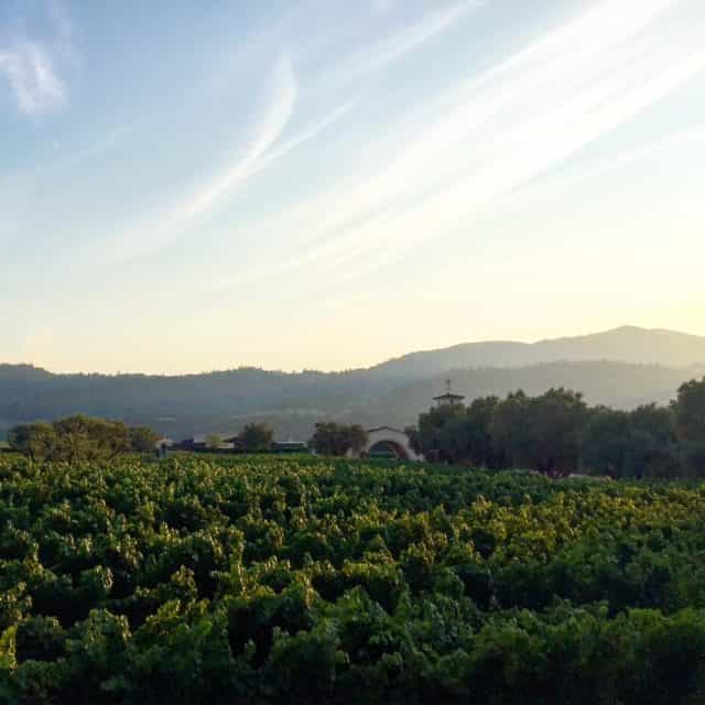 The view at dusk from the Napa Valley Wine Train! What a memorable experience - for us and the kids! A 3-course dinner on a 20th Century Pullman train while sight-seeing on a 25-mile track through the heart of Napa Valley. The girls felt very grown up! 