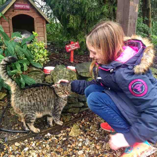 Making friends with Parker the cat at the Old Swann and Minster Mill