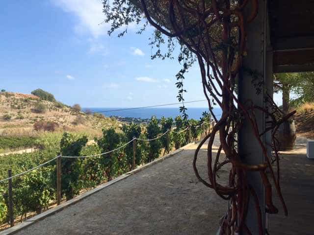 The view from the open air tasting room at Alta Alella - the closet vineyard to Barcelona. The winery has all kinds of programmes for kids and adults - so families can learn about viticulture together.